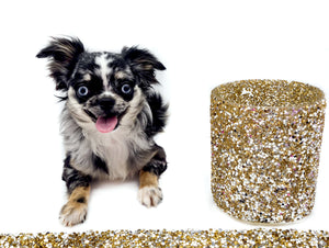 “Rare Find: Isla – Beautiful, Fully Grown, and Unbelievably Small!”