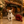 “Introducing Mila – The Ultra-Rare Cloned Program Puppy No One Else Can Offer!”