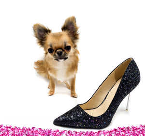 “Meet Zoey – The Future of Puppy Companionship is Here!”