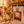 “Presenting Nova Boy– The World’s First Exclusive Cloned Program Teacup Puppy!”