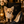“Meet Bell –  3lbs Micro The World’s First Ultra-Rare Teacup Puppy You’ll Never Find Again!”