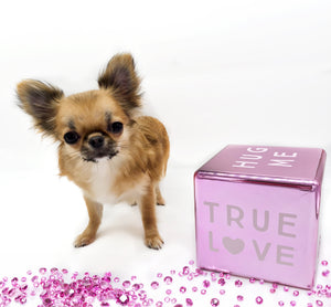 “Meet Zoey – The Future of Puppy Companionship is Here!”