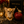 “Meet Bell –  3lbs Micro The World’s First Ultra-Rare Teacup Puppy You’ll Never Find Again!”