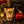 “Meet Bell –  3lbs Micro The World’s First Ultra-Rare Teacup Puppy You’ll Never Find Again!”
