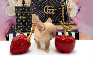 Venezia Red Sable Girl