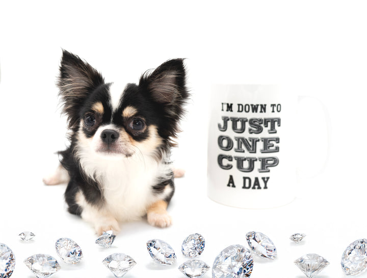 Louis Doll Teacup