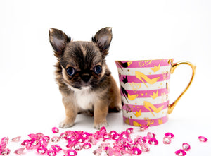 “Meet Zoey – The Future of Puppy Companionship is Here!”