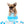 “Presenting Nova Boy– The World’s First Exclusive Cloned Program Teacup Puppy!”