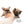 “Meet Zoey – The Future of Puppy Companionship is Here!”