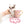 “Introducing Mila – The Ultra-Rare Cloned Program Puppy No One Else Can Offer!”