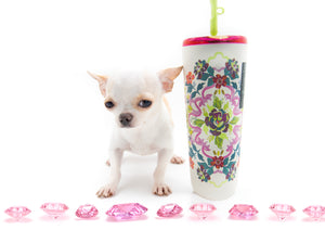 “Meet Amara – Fully Grown, Tiny, and Trained to Perfection"