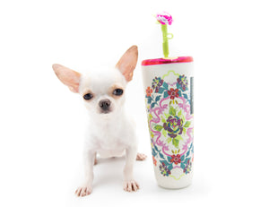 “Meet Amara – Fully Grown, Tiny, and Trained to Perfection"