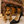 “Meet Zoey – The Future of Puppy Companionship is Here!”