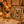 “Meet Zoey – The Future of Puppy Companionship is Here!”