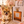 “Presenting Nova Boy– The World’s First Exclusive Cloned Program Teacup Puppy!”