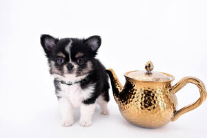 Louis Doll Teacup