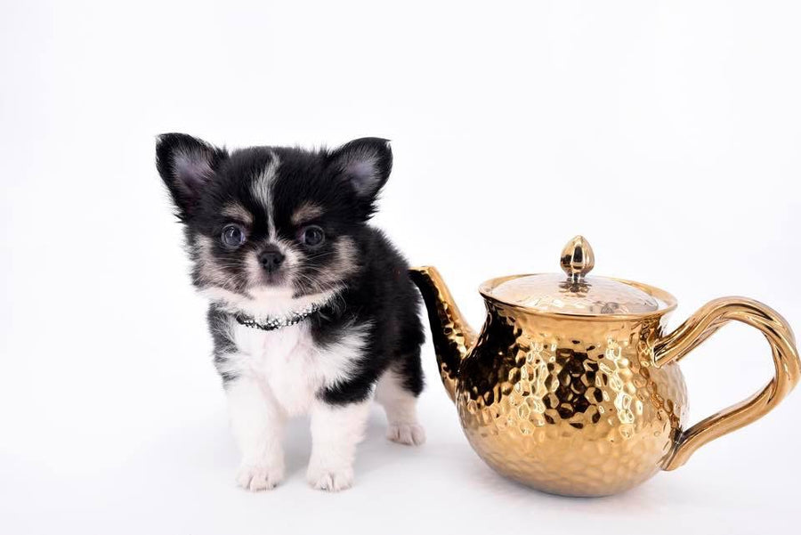 Louis Doll Teacup