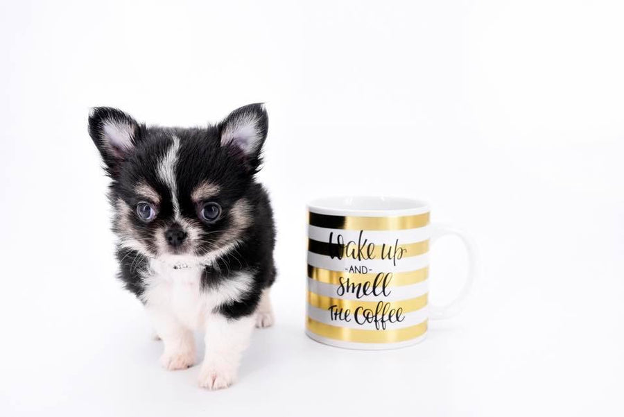 Louis Doll Teacup