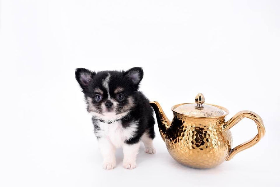 Louis Doll Teacup