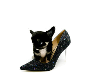 Louis LC Tricolor