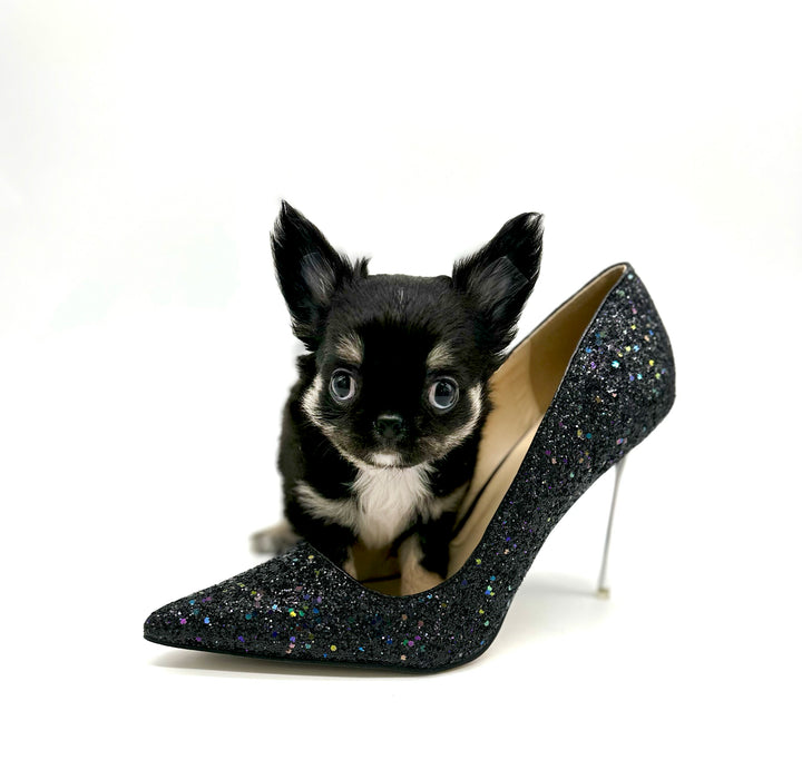 Louis LC Tricolor