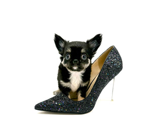 Louis LC Tricolor