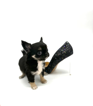 Louis LC Tricolor