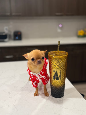 Sandy 1y Old Tiny Girl