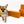 Fifi Red sable SC Boy