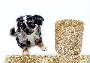 “Rare Find: Isla – Beautiful, Fully Grown, and Unbelievably Small!”