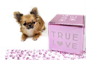 “Meet Zoey – The Future of Puppy Companionship is Here!”