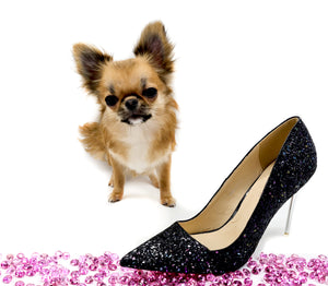 “Meet Zoey – The Future of Puppy Companionship is Here!”