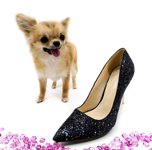 “Meet Bell –  3lbs Micro The World’s First Ultra-Rare Teacup Puppy You’ll Never Find Again!”