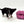 “Rare Find: Irla – Beautiful, Fully Grown, and Unbelievably Small!”