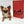 “Meet Zoey – The Future of Puppy Companionship is Here!”