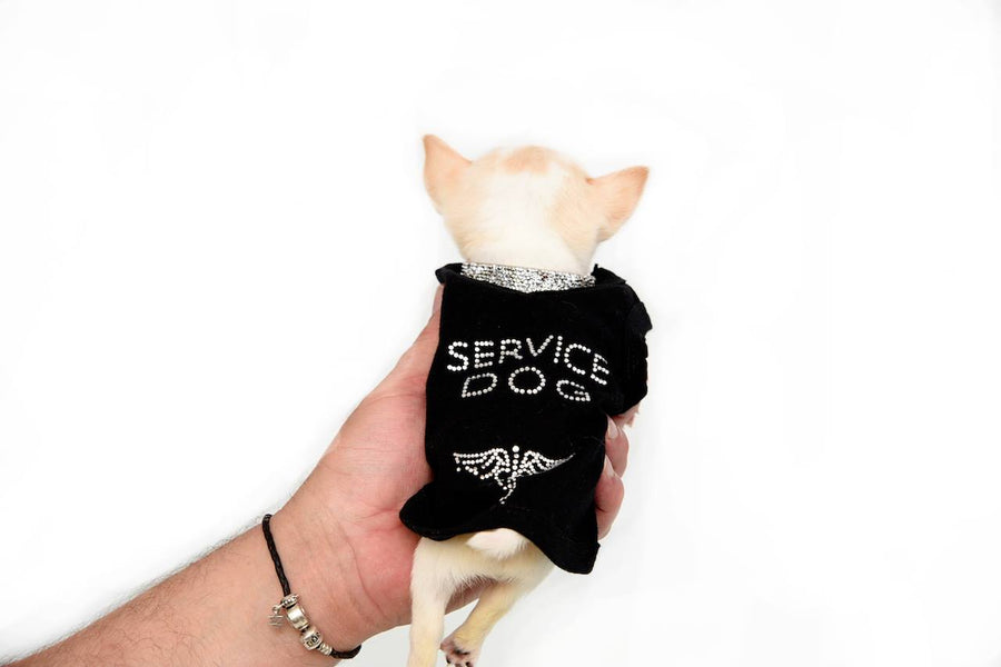 Service Dog Kit