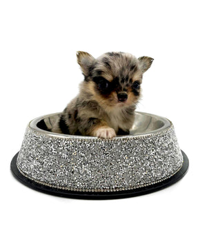 Chanel Micro Blue Merle Girl