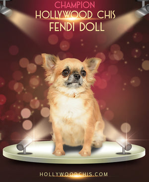 CH Fendi Doll