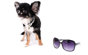 Diva Micro LC Girl