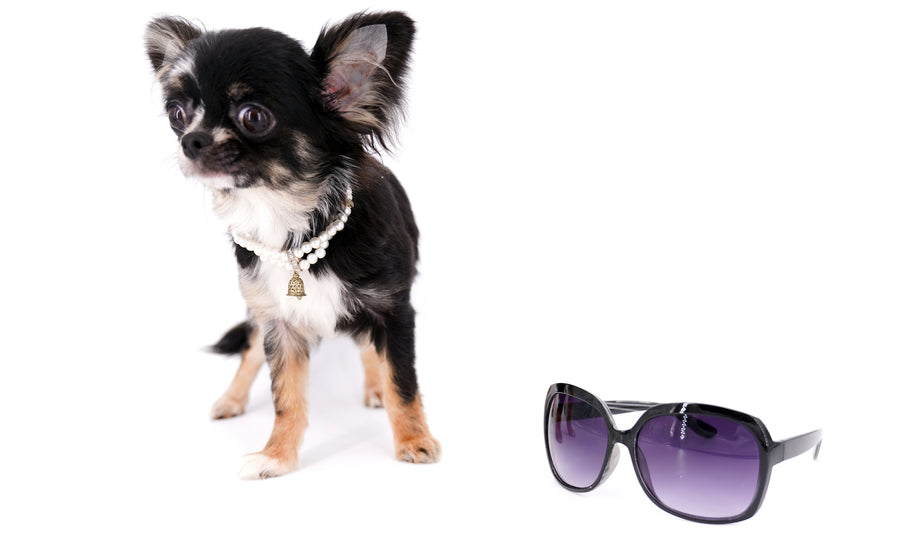 Diva Micro LC Girl