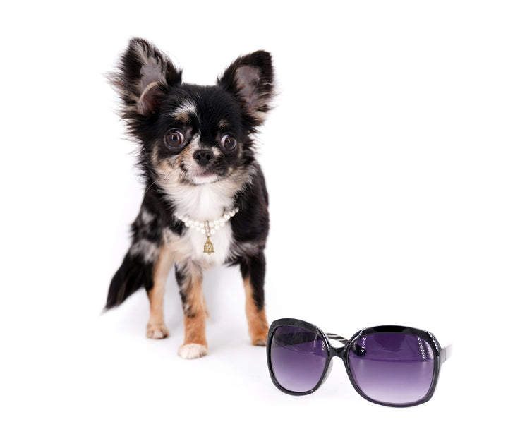 Diva Micro LC Girl