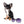 Diva Micro LC Girl