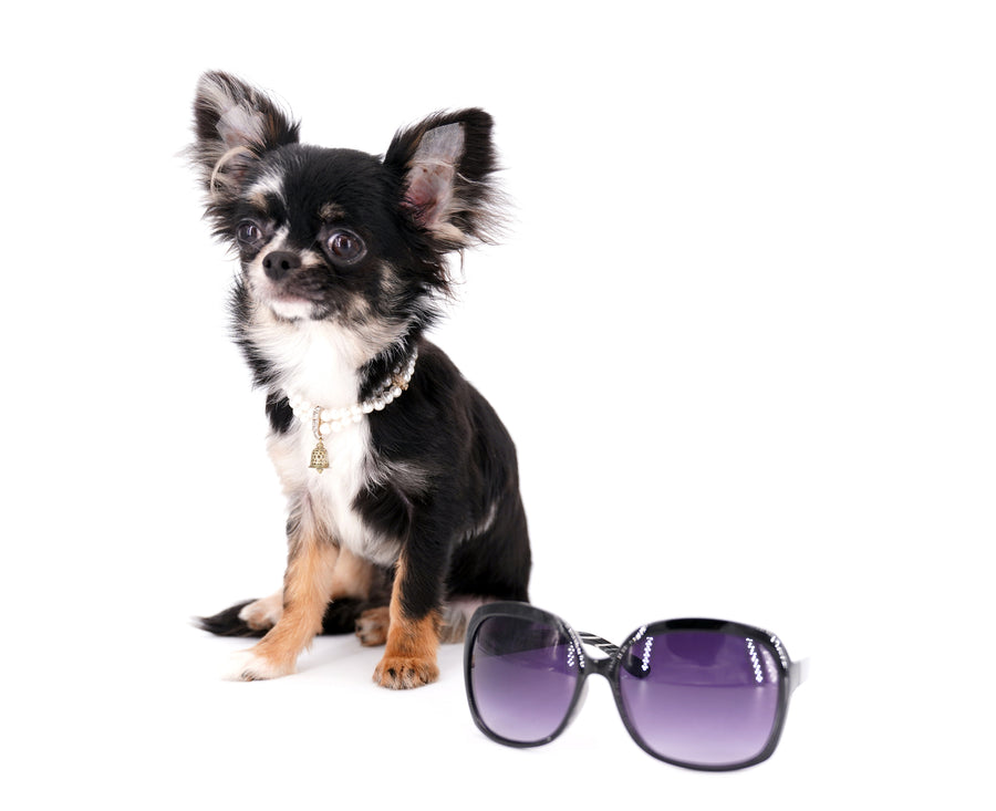 Diva Micro LC Girl
