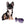 Diva Micro LC Girl