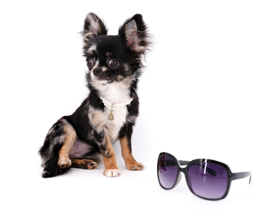 Diva Micro LC Girl