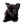 Konay LC Teacup Extreme short muzzle