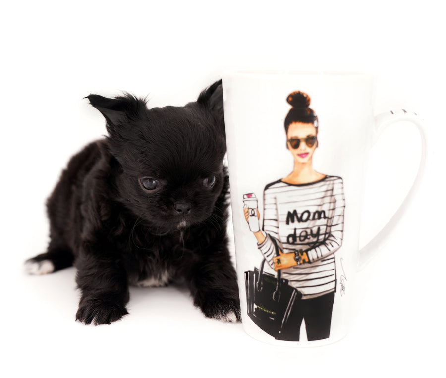 Konay LC Teacup Extreme short muzzle