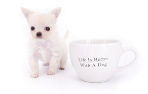 Suri Micro Teacup LC White Boy