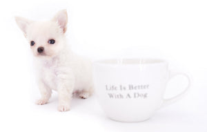 Suri Micro Teacup LC White Boy