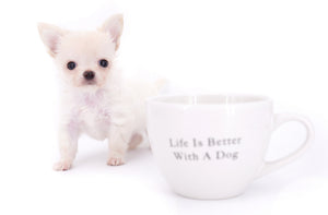 Suri Micro Teacup LC White Boy